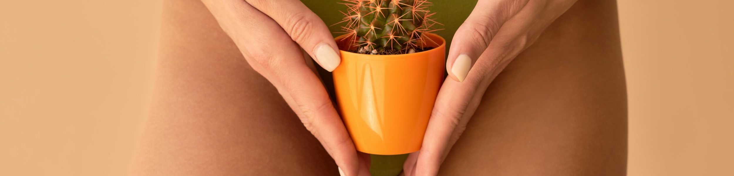 bannière article femme cachant maillot intégral avec un cactus